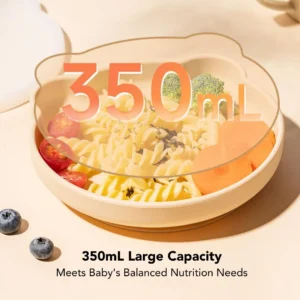 SK-FD-BEARPLATE