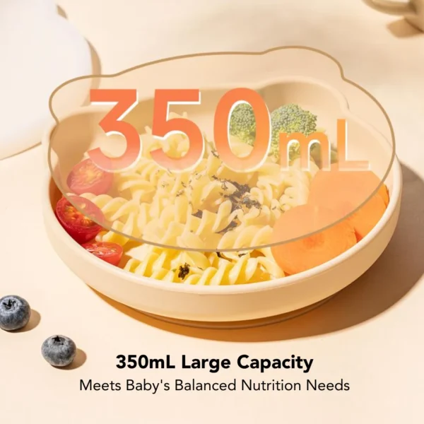 SK-FD-BEARPLATE